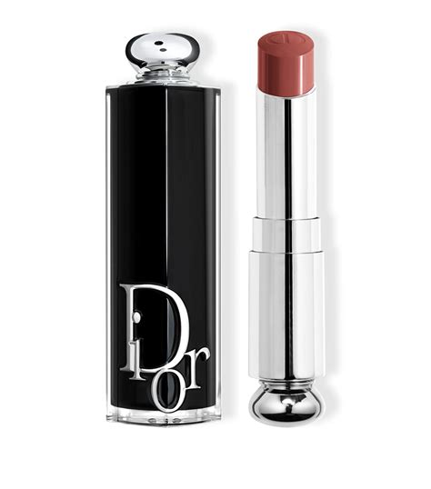 dior pandore lipstick|Dior addict shine lipstick.